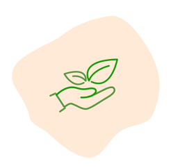 About-values-sustainable